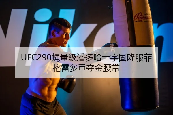 ying-liang-ji-pan-duo-ha-shi-zi-gu-xiang-fu-fei-ge-lei-duo-zhong-duo-jin-yao-dai-3-280.jpg