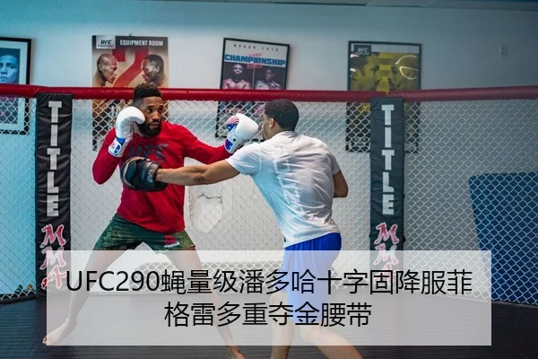 UFC290蝇量级潘多哈十字固降服菲格雷多重夺金腰带