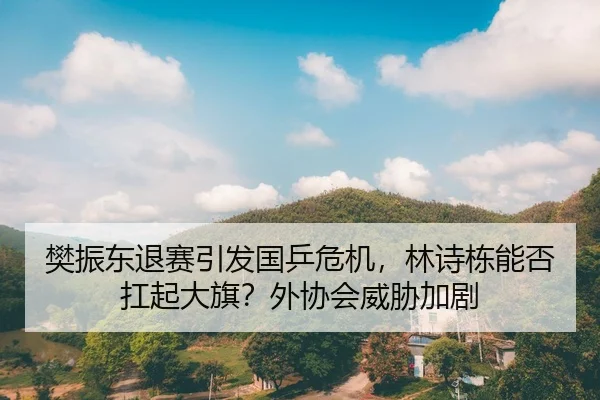 樊振东退赛引发国乒危机，林诗栋能否扛起大旗？外协会威胁加剧