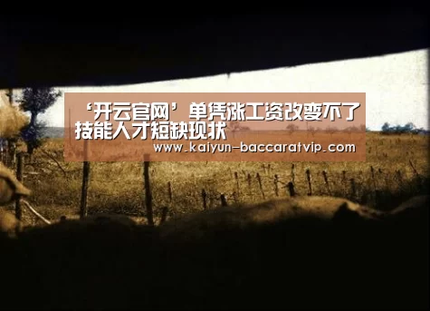 ‘开云官网’单凭涨工资改变不了技能人才短缺现状